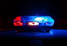 Quantifind, Polaris partner to prevent human trafficking