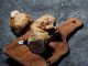 Truffle Security sniffs out $14m in Series A funding