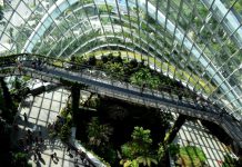 CaixaBank unveils new ESG advisory service