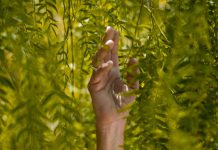 The Philippines unveils its first sustainable finance framework