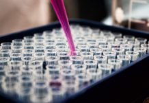 Merck awarded $1.4bn claim over 2017 NotPetya cyberattack