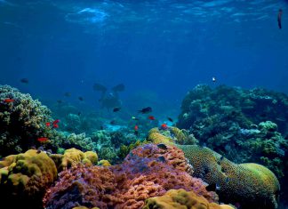 DeepSurface scoops up $4.5m in seed funding