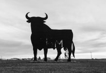 eToro to implement Regnology’s tax reporting tool
