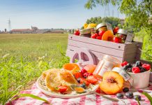 World’s first social engineering CyberTech Picnic nets funding