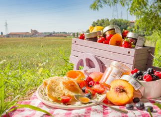 World’s first social engineering CyberTech Picnic nets funding