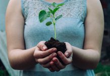 Financial services need global standardisation of climate regulations