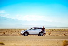 How can insurers identify and prevent vehicle crime?