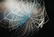 How to detangle the spiders web of threat detection