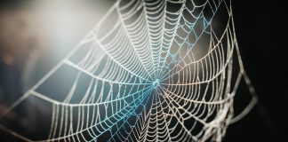How to detangle the spiders web of threat detection