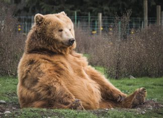 Crypto tax platform BearTax nets $3.2m in seed capital