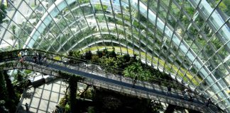 MAS links with CDP to bolster access to quality ESG data