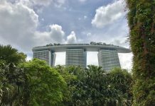 BIS unveils green bond fund to finance sustainable projects in APAC