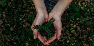 How advanced analytics can help monitor and manage ESG risks