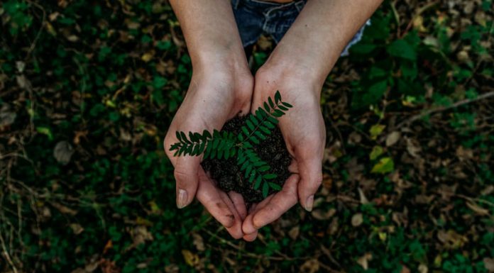 How advanced analytics can help monitor and manage ESG risks