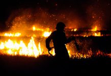 The link between environmental crime and money laundering