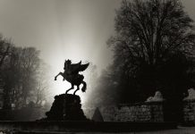 EU Parliament forms committee to probe use of Pegasus spyware