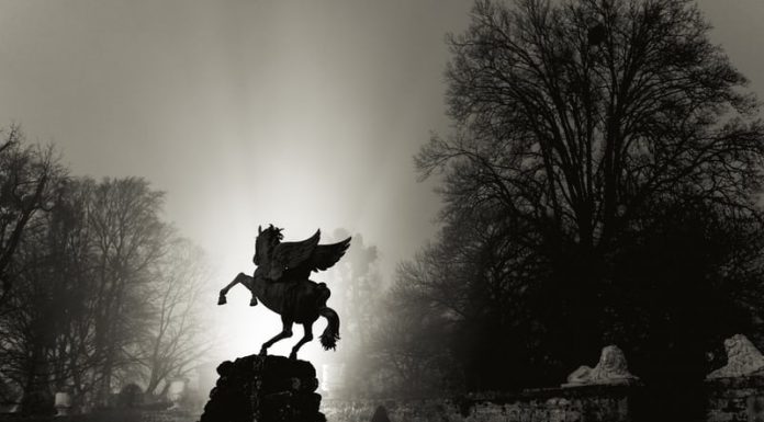 EU Parliament forms committee to probe use of Pegasus spyware