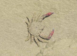 Data security startup launches from stealth with $110m