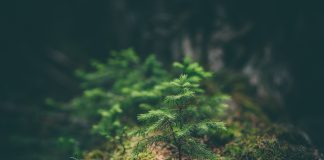 Over half of banks to miss ESG regulatory reporting deadline