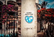 How to turn ESG compliance into commercial performance