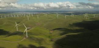 Why Regnology is blazing a new trail through ESG reporting