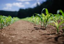 FBI warns US agriculture sector of increased ransomware risk