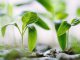 ESG platform Sustain.Life raises $16m