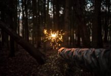 Access management firm Lumos launches from stealth