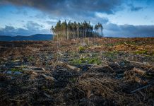 SEC proposes changes to ESG investment practices