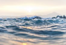 devOcean arises from stealth and bags $6m