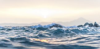 devOcean arises from stealth and bags $6m
