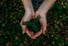 Why should risk and compliance professionals care about the move to ESG?
