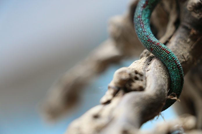 pierre-bamin-bAL6KBz-H6k-unsplash