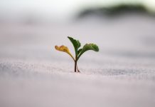 Ebury backs KYC and payments platform LoopingOne in €800k seed
