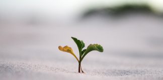 Ebury backs KYC and payments platform LoopingOne in €800k seed