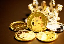 Elon Musk faces $258bn lawsuit for allegedly defrauding Dogecoin investor
