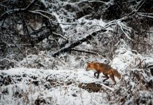 Finnish CyberTech Hoxhunt lands $40m