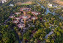 Monetary Authority of Singapore launches project to see economic potential of asset tokenisation