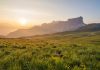 How to navigate ESG’s complex regulatory landscape