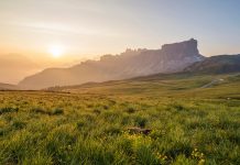 How to navigate ESG’s complex regulatory landscape
