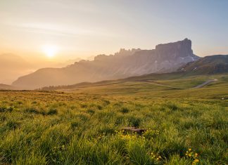 How to navigate ESG’s complex regulatory landscape