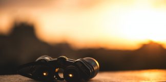 Olivetree taps NICE Actimize’s market surveillance tech