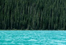 Sweden’s Sustainability platform Worldfavor bags Series A Sweden's Sustainability platform Worldfavor bags Series A