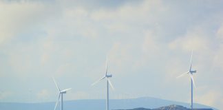 FCA to establish advisory committee to work on ESG issues FCA