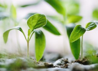 everyoneINVESTED obtains ISAE 3402 certification as ESG MiFID II update launches