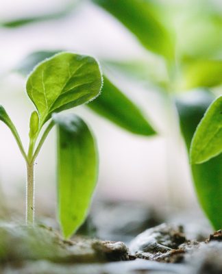 everyoneINVESTED obtains ISAE 3402 certification as ESG MiFID II update launches