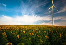 CaixaBank launches Climate Risk Unit as part of its Sustainability Directorate