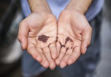 US RegTech BalkanID extends seed funding BalkanID