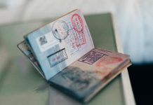 Who plays a part in the passport verification process? passport