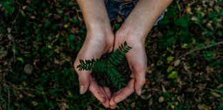 FCA unveils new rules to get to grips with greenwashing FCA greenwashing